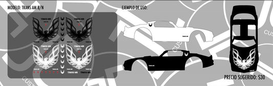 Trans Am B/N